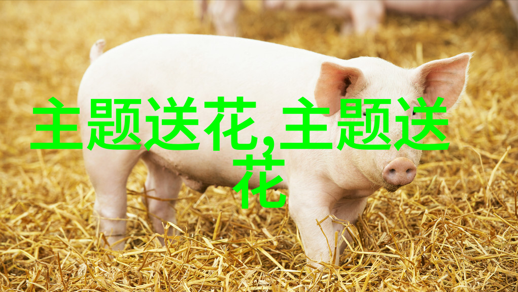 花卉与节日民俗