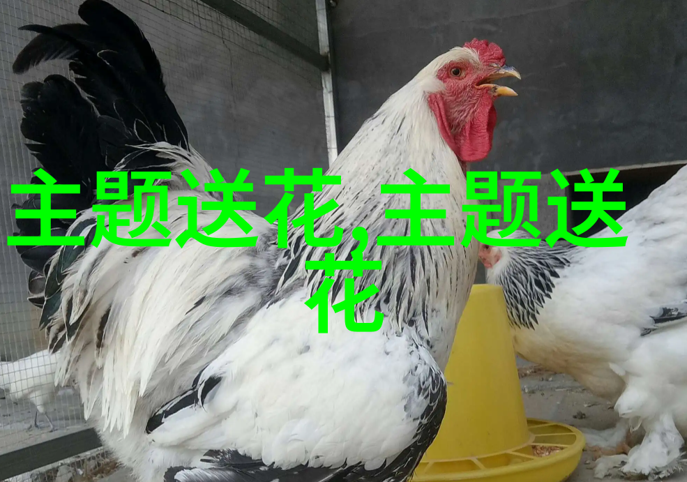 看病人不适合送什么花